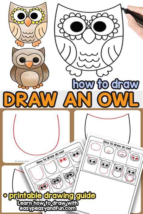 directed drawing owl|detailed owl drawing.